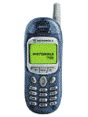 Best available price of Motorola T190 in Koreanorth