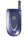 Best available price of Motorola V66i in Koreanorth